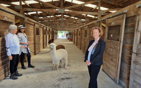 Anne Rogers, the conveyor of the alpaca section of the show, with two of the competitors.