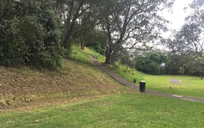 One of the slopes in the Grey Lynn Park no-mow pilot that was accidentally mown by a contractor.