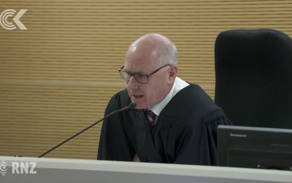 National MP's son to pay $4k over ill-treatment of dairy cows