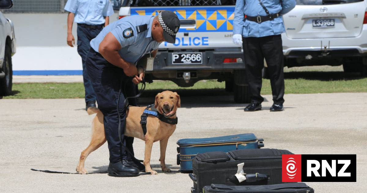 Australian Federal Police: 17 tonnes of drugs seized in Pacific so far in 2026