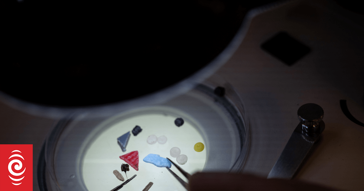 Scientists discover microplastics in human semen, follicular fluid