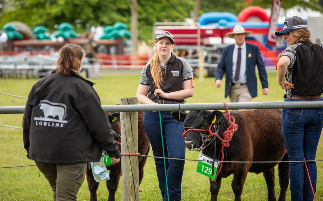 The Christchurch Show