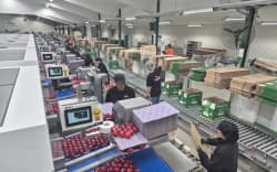 Taylor Corp Apple’s packhouse.