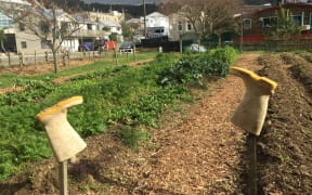 Kai Cycle urban farm 2