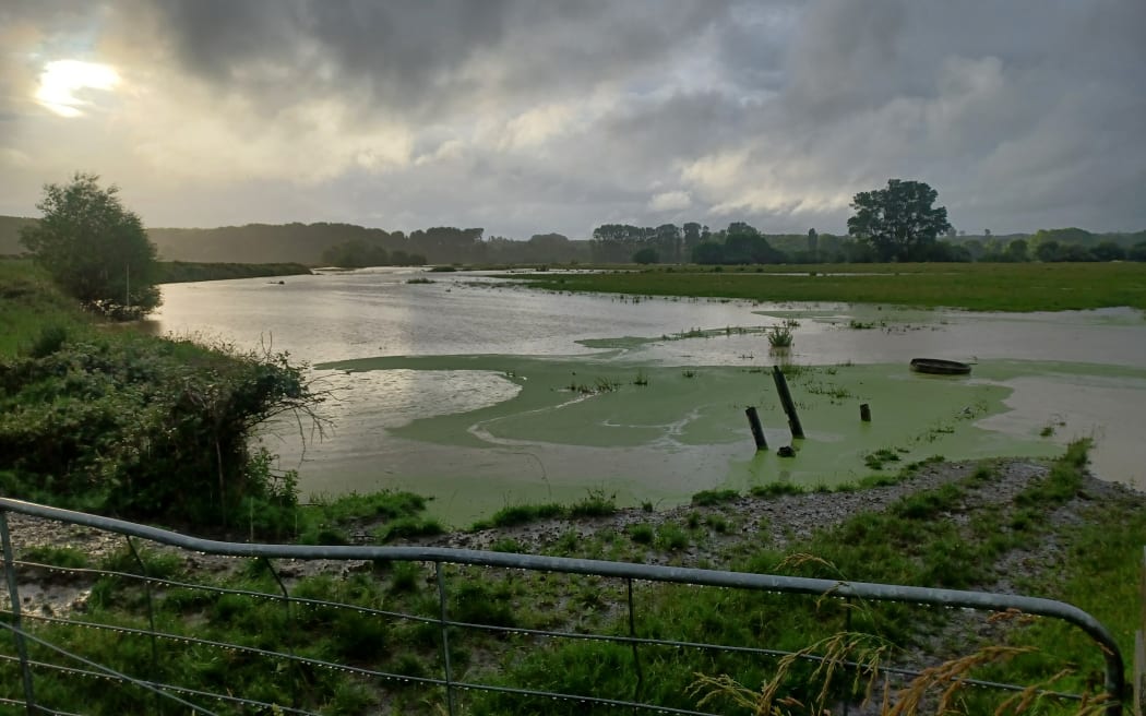 Paddocks with surface flooding in Te Reureu, Manawatū.