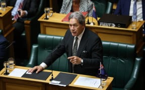 Deputy Prime Minister Winston Peters.