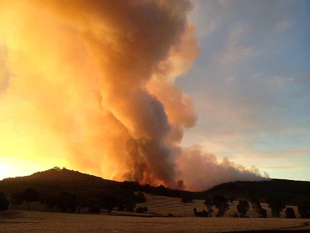 An 800-hectare fire near Dunkeld in the Grampians, Victoria.