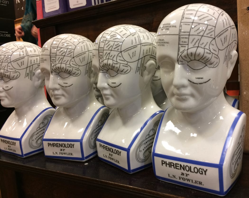 Porcelain Phrenology Head Busts being sold at an eclectic store in Clearwater, Florida