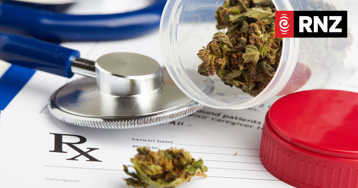 East Coast medicinal cannabis company exports strains around the world - Vimarsana News