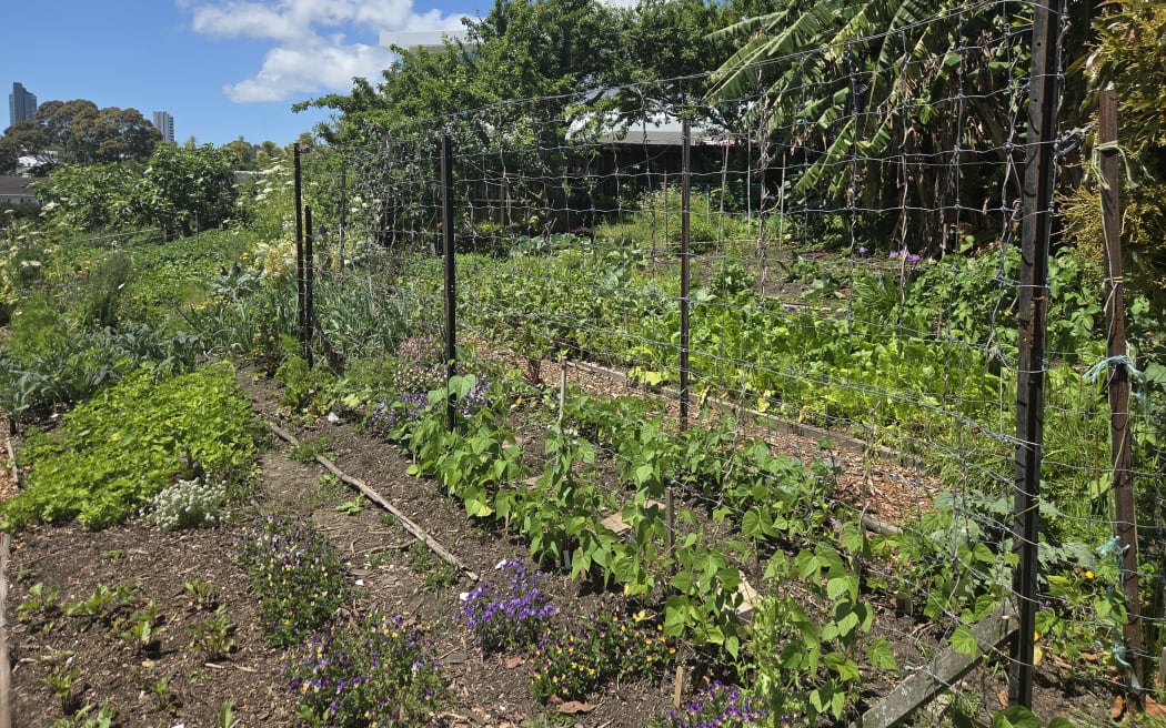 Spring growth at Kelmarna