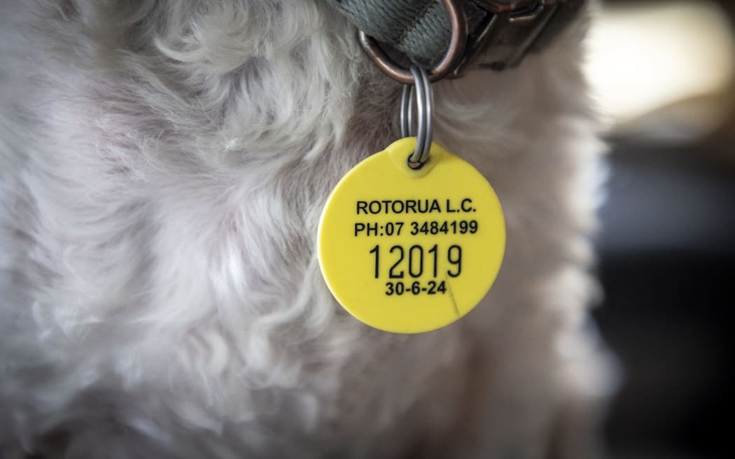 Council dog tag clearance