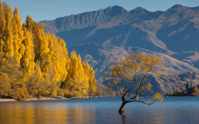 Lake Wanaka
