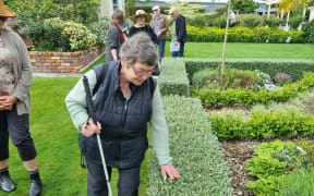 Margaret Kreegher uses touch to understand plants better.