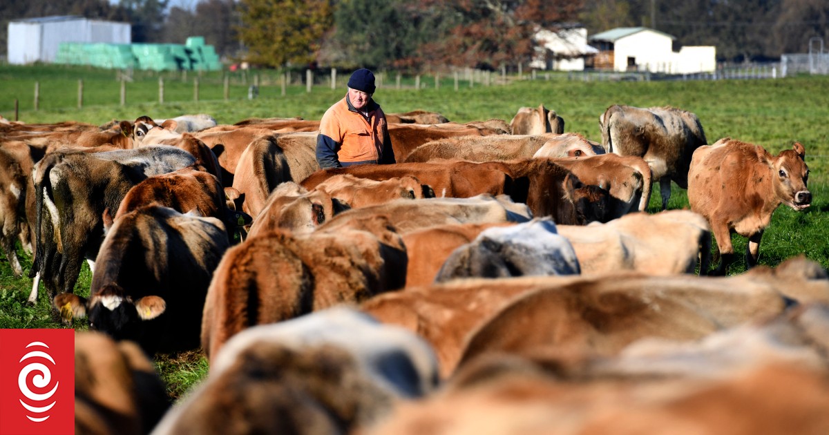 Dairy prices hit near two-year low after eighth consecutive fall