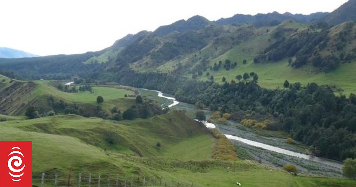 Forest & Bird challenges councils over controversial dam project in court