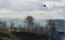 The fire is in an area where a 20ha eucalyptus forest is being cleared for a new development.