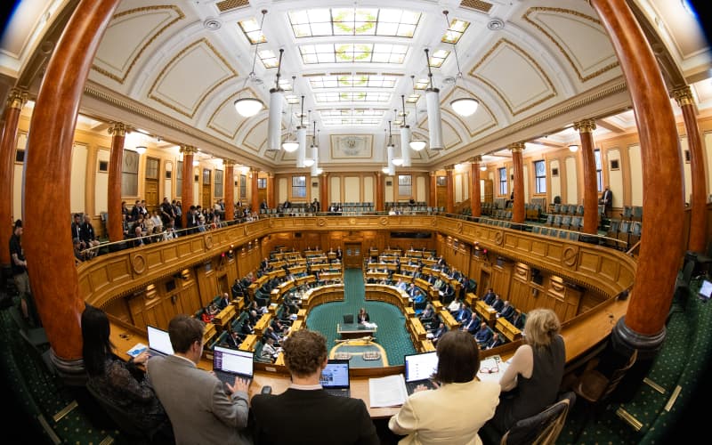 Explainer: What is an overhang and how could it change NZ's election ...