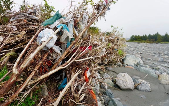 Rubbish wound around trees and grasses in the South Westland cleanup