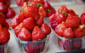 Fresh strawberry at market in plastic boxes.