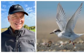 Headshot of  Neil Mulholland plus fairy tern - one of the projects NZ Nature Fund is partnering with Department of Conservation over