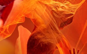 Auckland Philharmonia 2025 - La Traviata