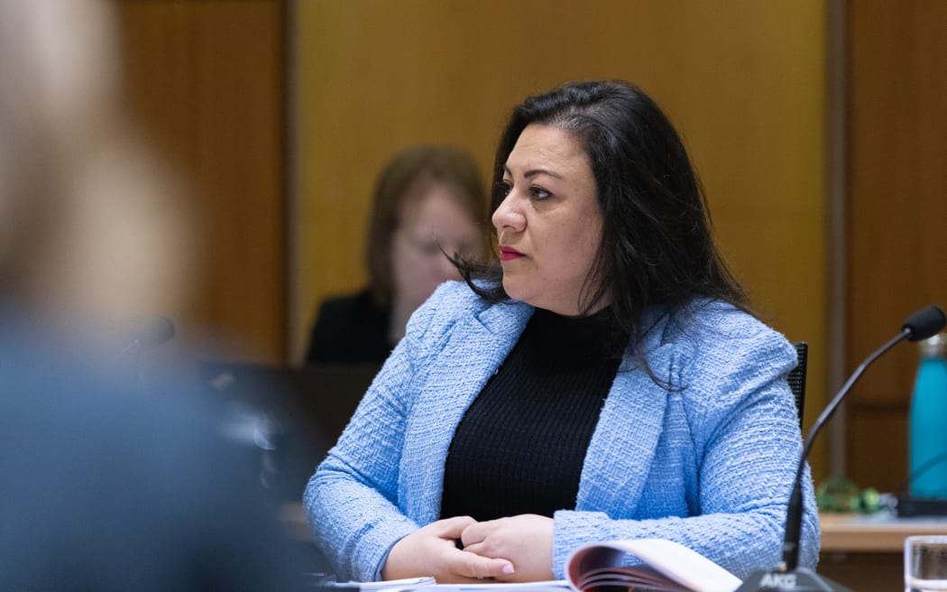 National Party MP Rima Nakhle in Select Committee.