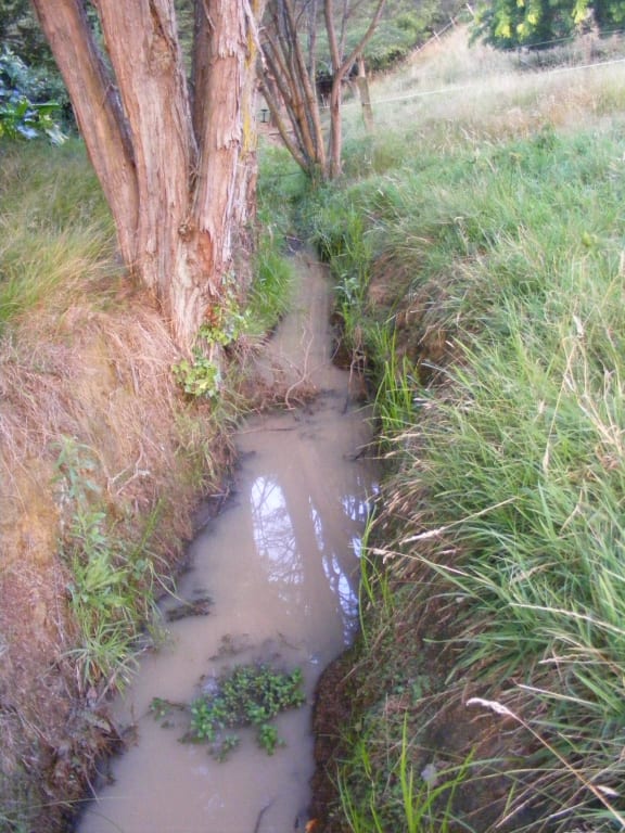 The creek through Ms Starr's property on Thursday afternoon