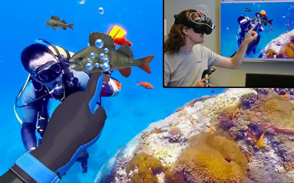 Underwater Ocean crop