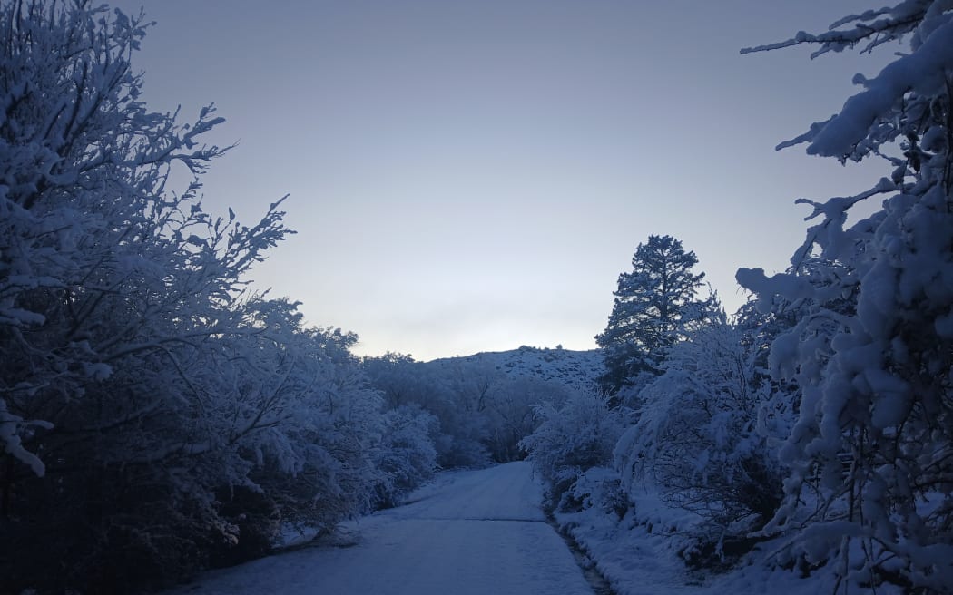 Mt Lyford snow