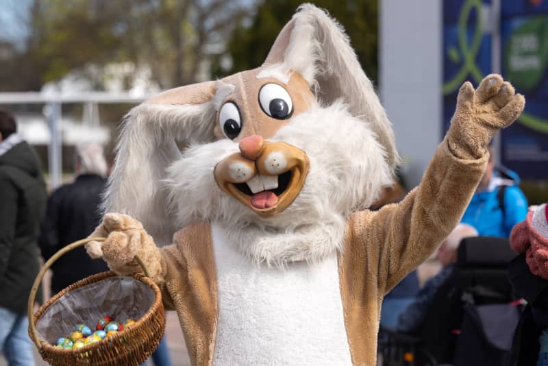 17 April 2022, Thuringia, Erfurt: A person in an Easter bunny costume hands out candy at egapark. On Easter Sunday, all children up to the age of 16 are allowed into egapark for free. Photo: Michael Reichel/dpa (Photo by MICHAEL REICHEL / DPA / dpa Picture-Alliance via AFP)