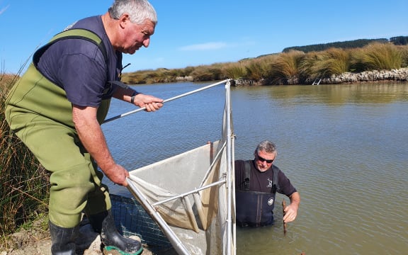 Garth Gadsby and Noel Parker set up their nets