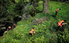 A group of teenagers in hi-vis run across a lush mountainside.