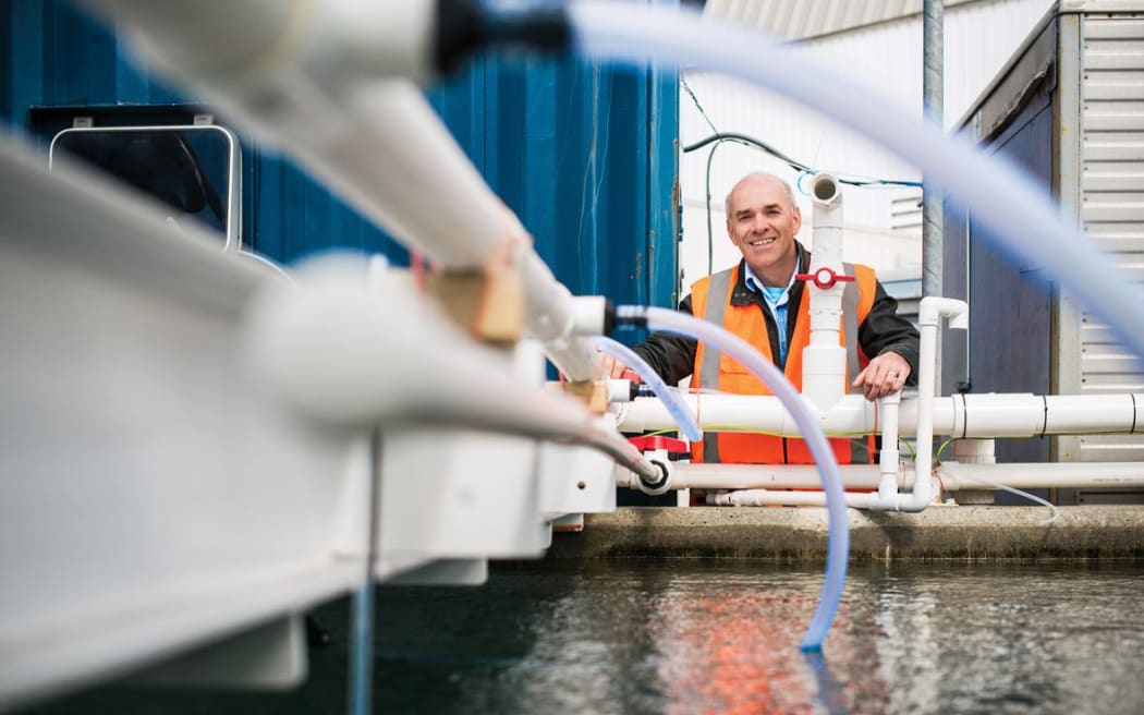 Cliff Law leads a $4.9million project to investigate the impact of coastal acidification on marine life.