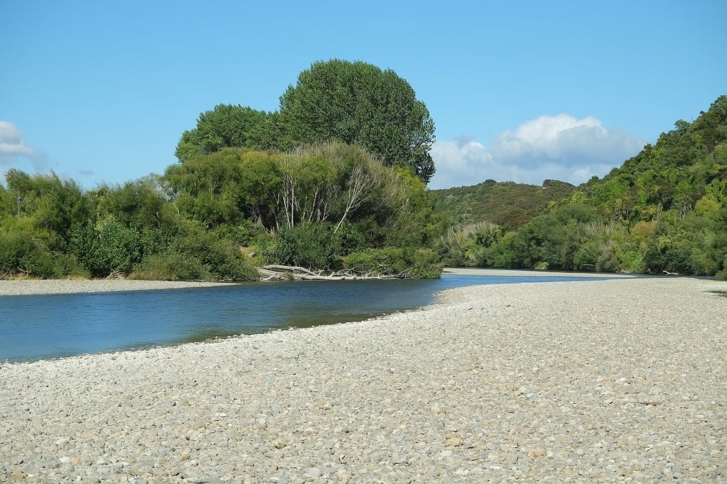 The Ruamāhanga River near Carter Scenic Reserve in Wairarapa.