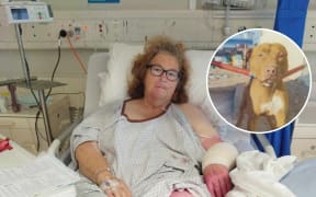 Carol Stewart was left with horrific injuries after a dog pulled her off her scooter in Murraee Street, Wairoa. Inset: The dog that attacked her has been euthanised.