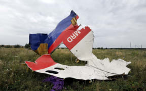 A piece of wreckage of Malaysia Airlines flight MH17 is pictured on 18 July, 2014 in Shaktarsk, the day after it crashed.