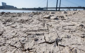 The cracked earth on the dried up banks of the river Rhine in Duesseldorf, Germany, last month.