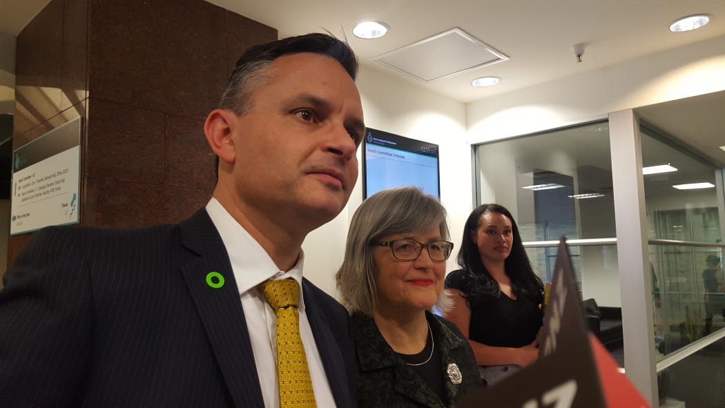 Green Party leader James Shaw going into talks with Labour.