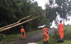 Emergency services volunteers work to remove a tree that fell onto powerlines in Wailoku, Fiji.