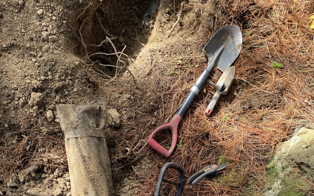 Metal detectorist finds guns in Wellington