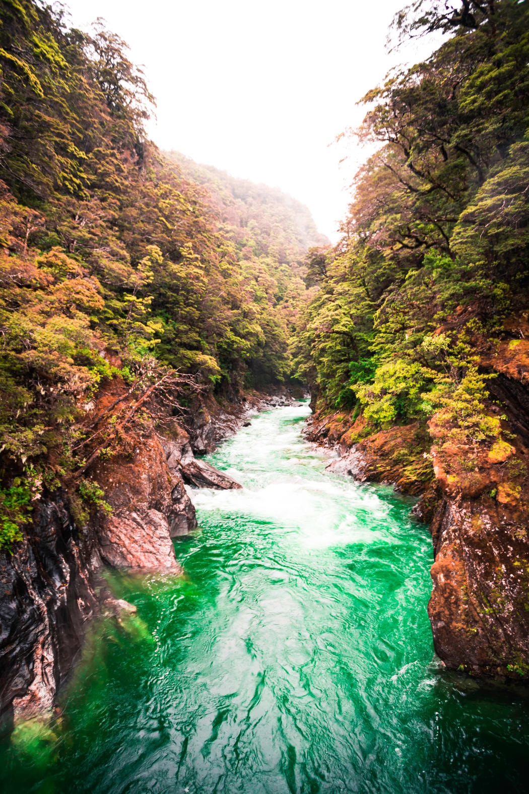 Blue Pools Walk, Mt Aspiring National Park, New Zealand