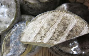 Mucor cheese rind