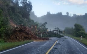 Trees have been brought down on the road between Ohope and Opotiki.
