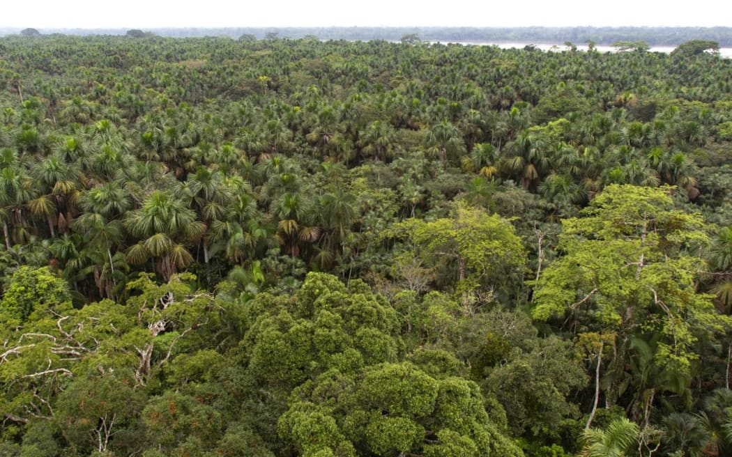 Rio Napo in the middle of the Varzea Forest, Napo Wildlife lodge, Yasuni Nationl Park, Amazon, Ecuador. 
 
Biosphoto / Michel Gunther (Photo by Michel Gunther / Biosphoto / Biosphoto via AFP)