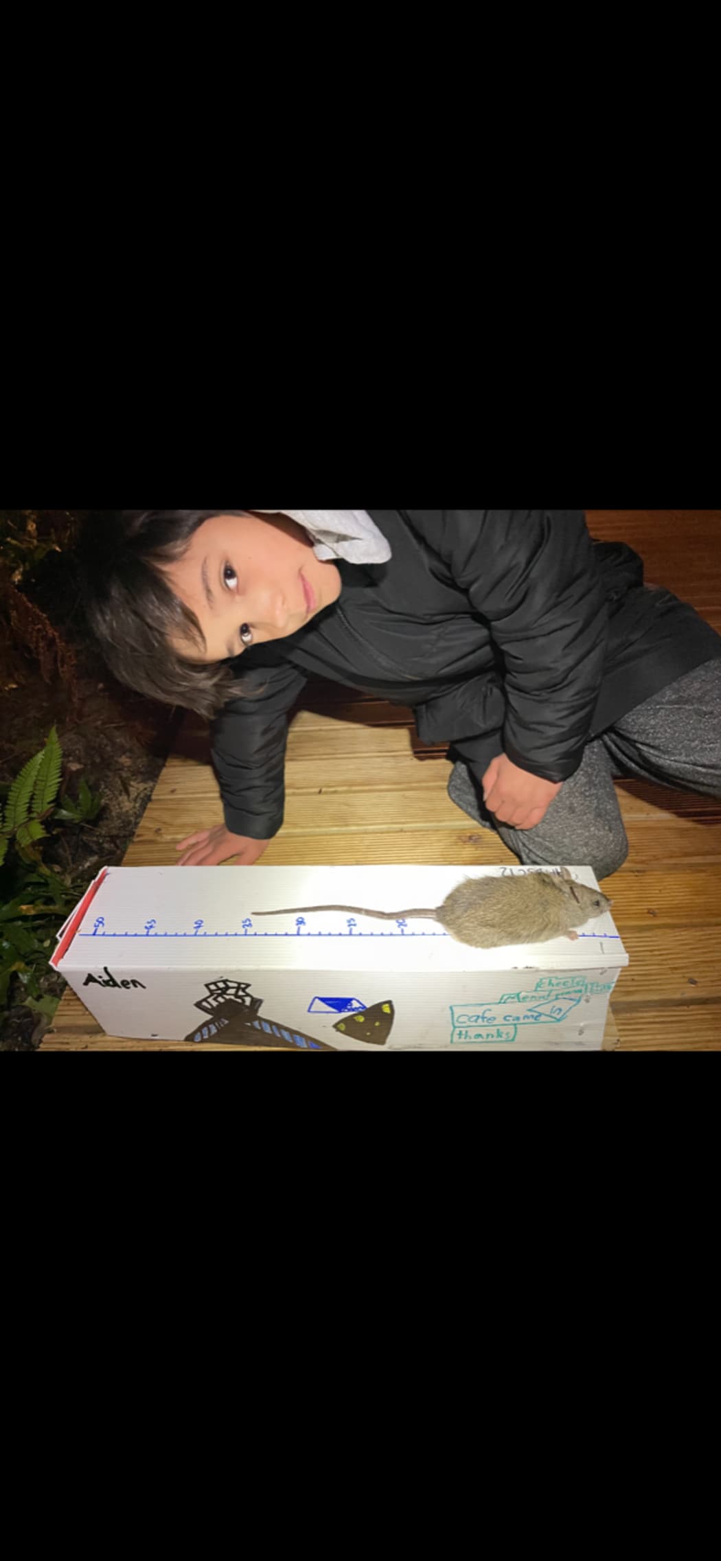 Aiden Gear, a student at Halfmoon Bay School.
