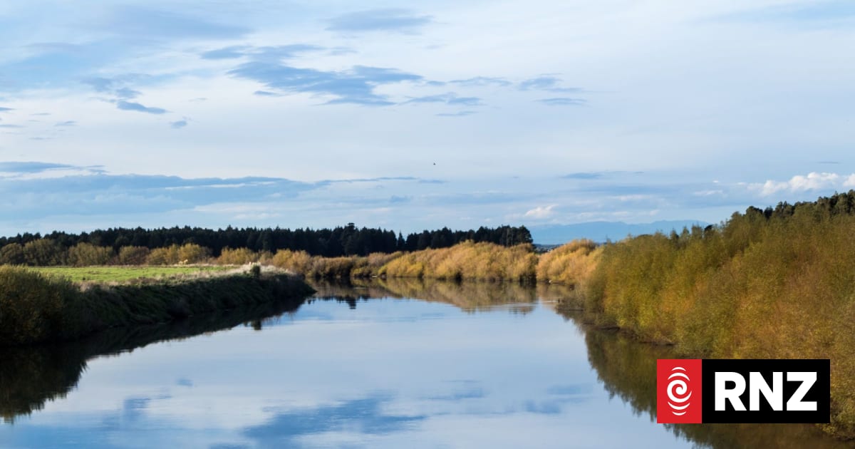 Body found in search for missing man | RNZ