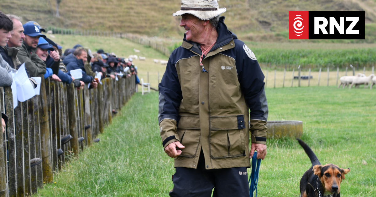 Elite working dogs fetch more than $300,000 in auction frenzy