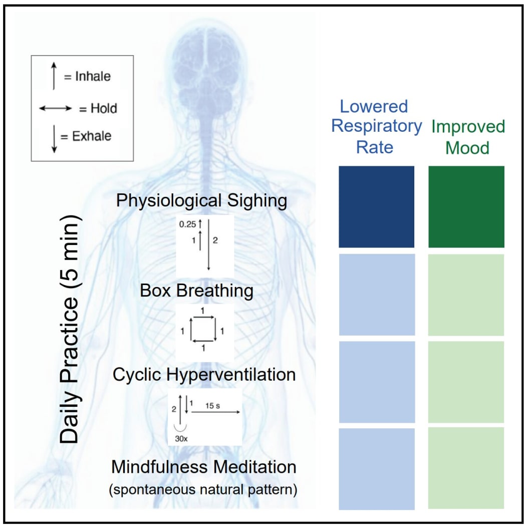 Graphical abstract. Credit: Cell Reports Medicine (2023). DOI: 10.1016/j.xcrm.2022.100895