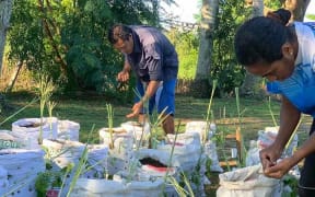 Sack gardens for Nadi where low lying communities have been struggling to grow food in the floods. Each sack has eight types of crops to ensure nutrition diversity.