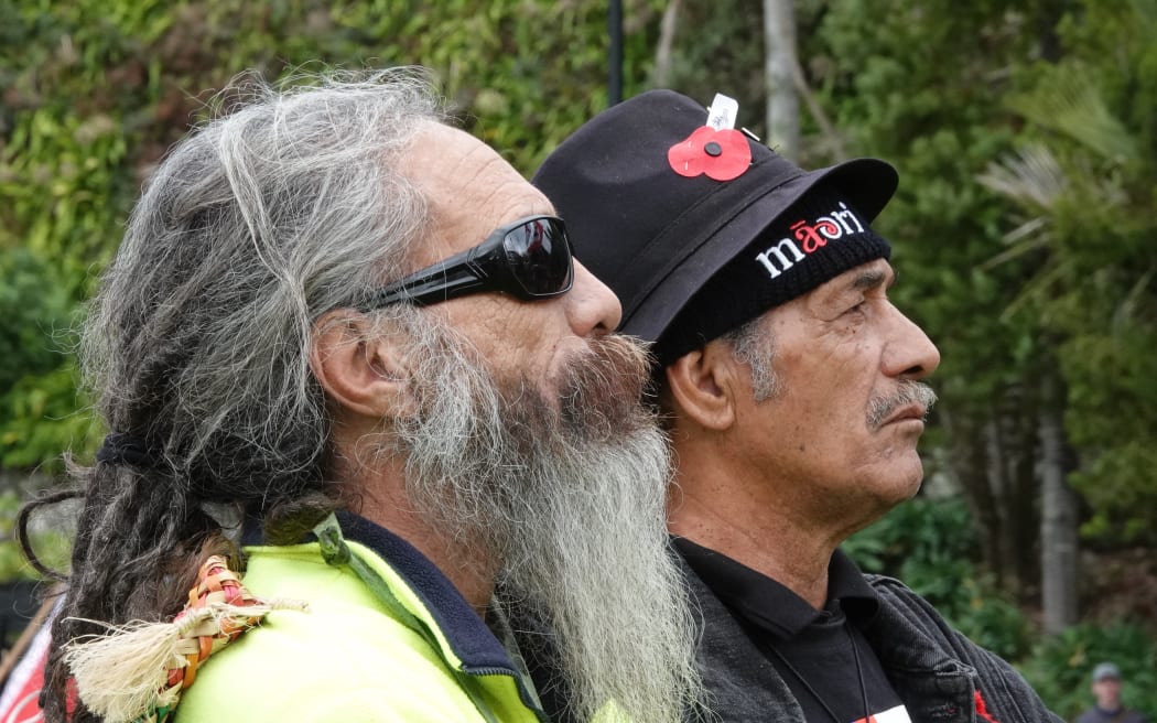 Marchers listen to speeches at Whangārei's Laurie Hall Park ahead of the hīkoi.
